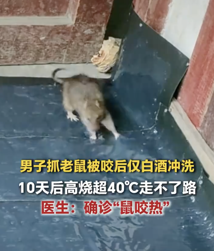 截屏2026-04-13 10.52.03.png