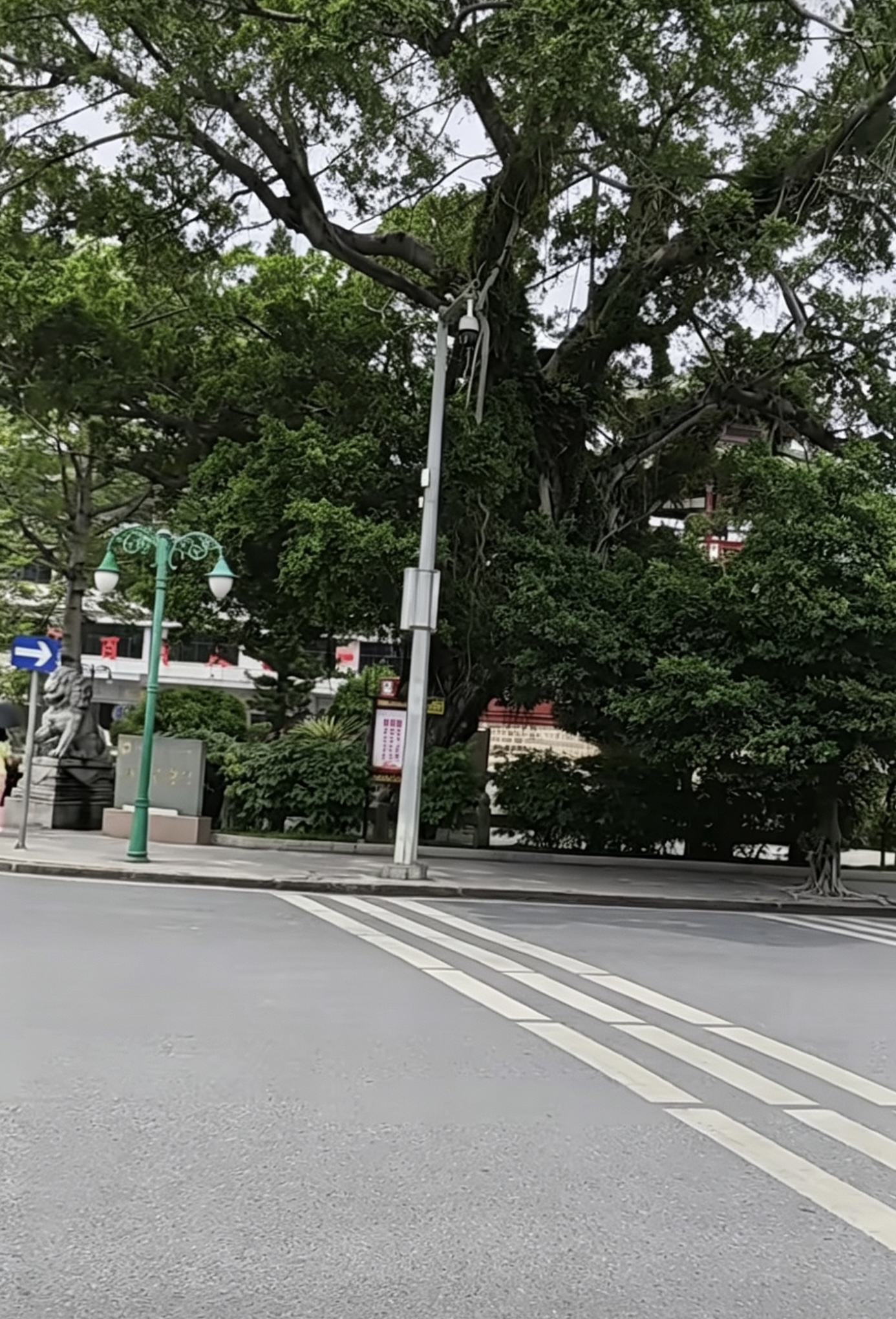 3E3638DD-D0E8-4C49-9A7F-0A86FD628B4D.jpeg